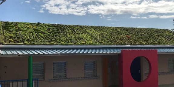 greenskin - végétalisation urbaine école Célimène